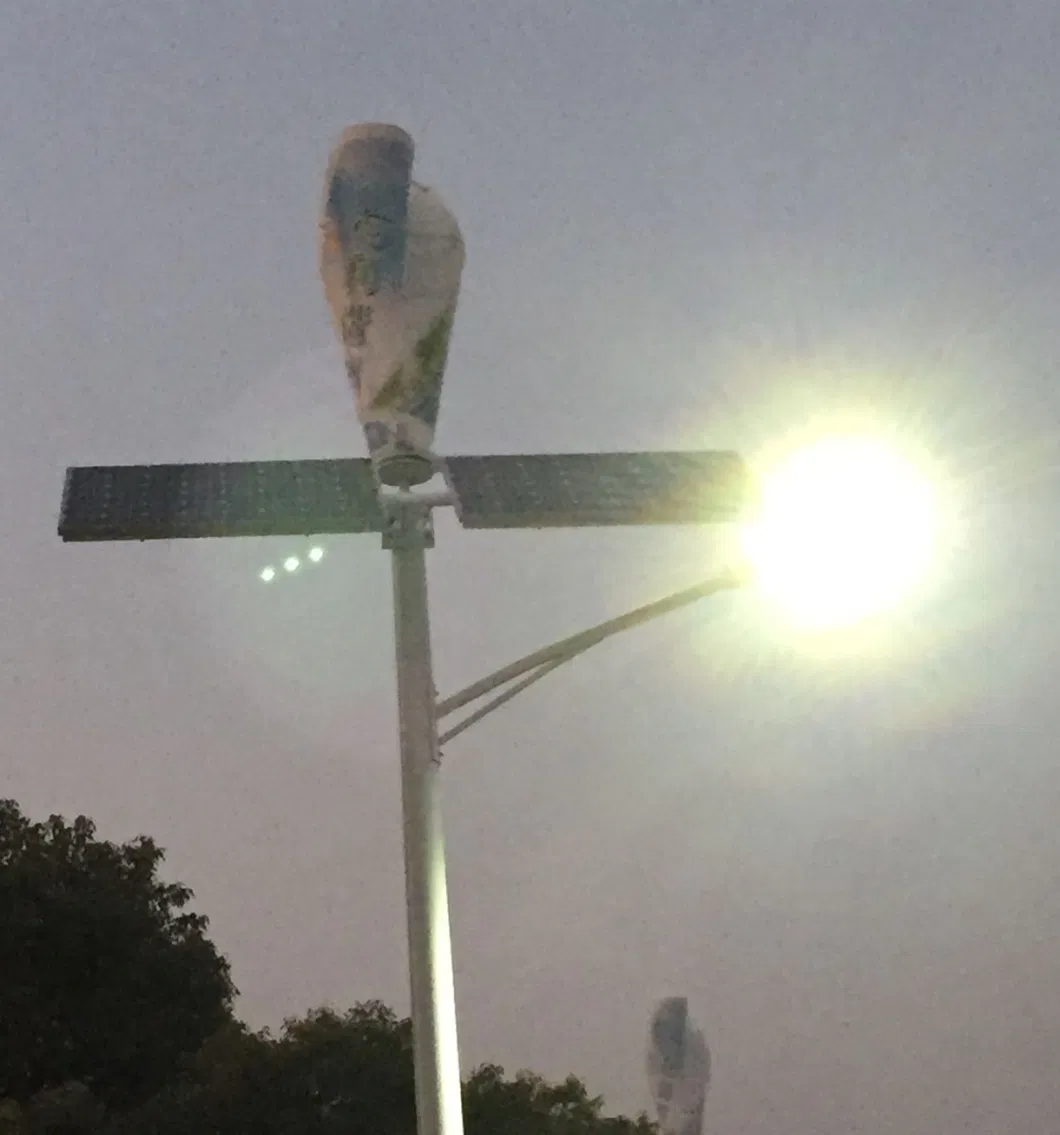 Wind Generator and Solar Hybrid Street Lamp (SHJ-LDS100)